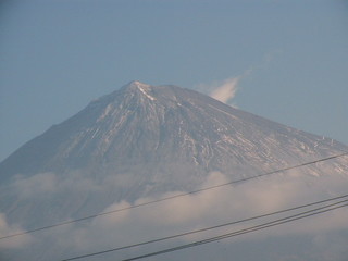 IMG_0960.jpg